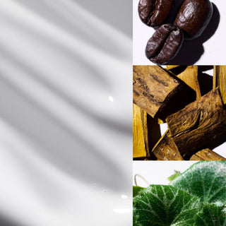 THREE 平衡循環煥白精華